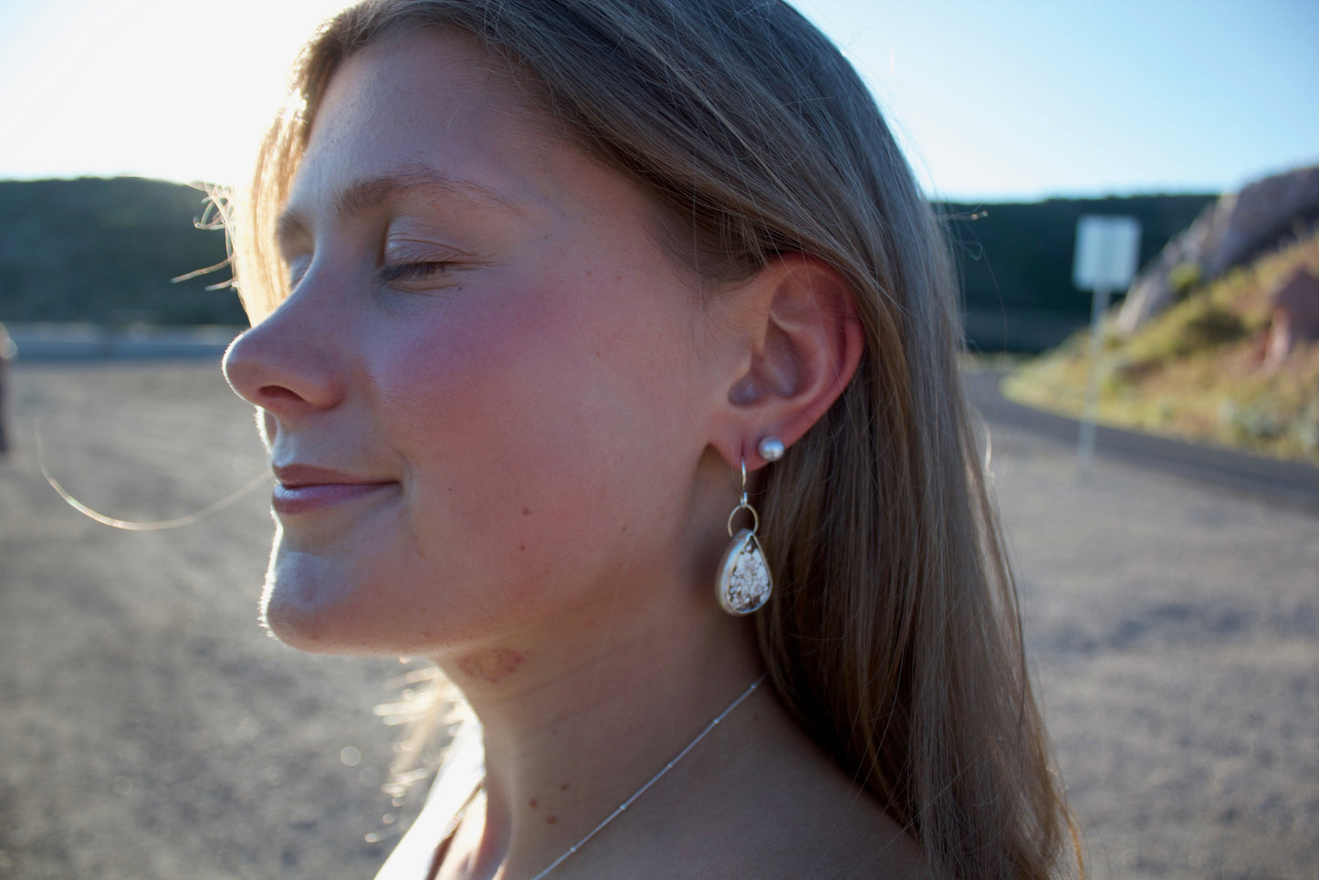 Wild Horse Earrings